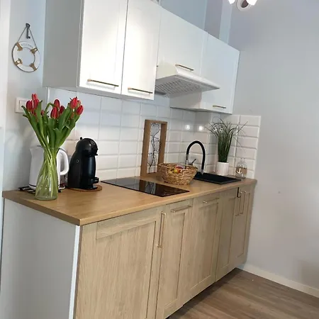 Przy Wydmie Rowy (Pomerania)